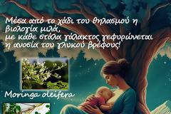 Από το χτες στο σήμερα – γαλακταγωγά βότανα.