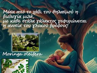 Φωτογραφία για Από το χτες στο σήμερα – γαλακταγωγά βότανα.