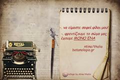 “η δύναμη της διατροφής μέσα στο σύνολο των επιλογών μας”