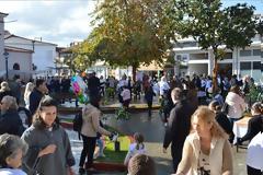 Με επιτυχία πραγματοποιήθηκε η 5η Γιορτή Πορτοκαλιού στα Καλύβια