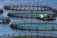 ΑΚΤΑΙΑ: Δεν είναι όλες οι υδατοκαλλιέργειες το ίδιο!