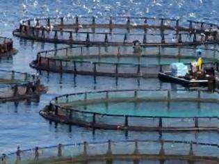 Φωτογραφία για ΑΚΤΑΙΑ: Δεν είναι όλες οι υδατοκαλλιέργειες το ίδιο!