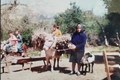 H τσοπάνισσα του Ξηρομέρου:  Η αφανής ηρωίδα της υπαίθρου. Μια ζωή λιτή, σκληρή, αξιοπρεπή