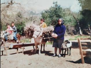 Φωτογραφία για H τσοπάνισσα του Ξηρομέρου:  Η αφανής ηρωίδα της υπαίθρου. Μια ζωή λιτή, σκληρή, αξιοπρεπή