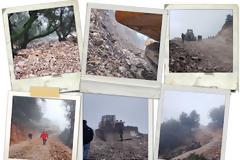 Η Αριά (quercus ilex) και η καταστροφή στην Κομπωτή Αιτωλοακαρνανίας - Μια επείγουσα και εναγκαία καταγγελία.