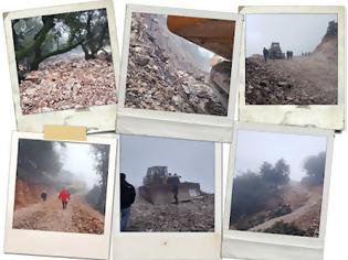 Φωτογραφία για Η Αριά (quercus ilex) και η καταστροφή στην Κομπωτή Αιτωλοακαρνανίας - Μια επείγουσα και εναγκαία καταγγελία.