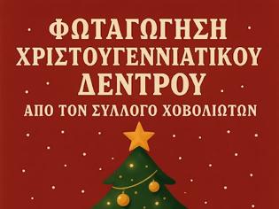 Φωτογραφία για Σύλλογος  Χοβολιοτών Αστακού : Φωταγώγηση Χριστουγεννιάτικου Δέντρου