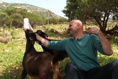 Από το Χωράφι στο Ράφι» στην ΕΡΤ3 αυτή την Κυριακή...