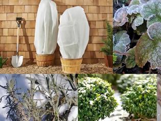 Φωτογραφία για Τι να χρειάζετε να κάνετε και τι να αποφύγετε  στον κήπο τους κρύους μήνες