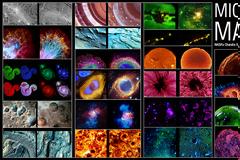 Από το εξαιρετικά μεγάλο στο απίστευτα μικρό