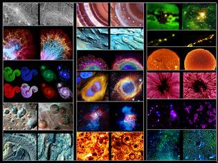 Φωτογραφία για Από το εξαιρετικά μεγάλο στο απίστευτα μικρό