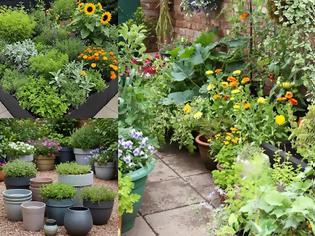 Φωτογραφία για Βιώσιμοι κήποι: πρακτικές συμβουλές για έναν φιλικό προς το περιβάλλον κήπο