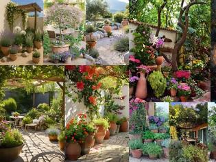 Φωτογραφία για Πως να επιλέξετε τα κατάλληλα φυτά για τον κήπο σας