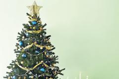 Γνωρίζετε πως το Χριστουγεννιάτικό σας δέντρο έχει... 7 φορές περισσότερο DNA από εσάς;