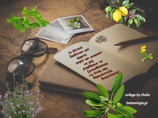 Φωτογραφία για Όταν με ρώτησαν είπα πως δεν χρειάζονται ακρότητες για να επαναφέρουμε το σώμα μας…