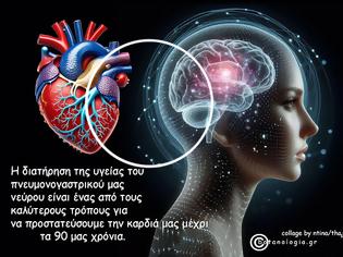 Φωτογραφία για Η διατήρηση της υγείας του πνευμονογαστρικού μας νεύρου είναι ένας από τους καλύτερους τρόπους για να προστατεύσουμε την καρδιά μας μέχρι τα 90 μας χρόνια.