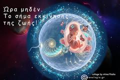 Αποτυπώθηκε η ακριβής στιγμή που ξεκινά η ζωή και η μαθηματική της τελειότητα.