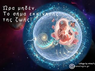 Φωτογραφία για Αποτυπώθηκε η ακριβής στιγμή που ξεκινά η ζωή και η μαθηματική της τελειότητα.