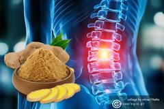 Τζίντζερ - Ένα βοτανικό φαρμακευτικό προϊόν με ευρείες αντιφλεγμονώδεις και θερμαντικές δράσεις