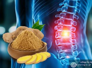 Φωτογραφία για Τζίντζερ - Ένα βοτανικό φαρμακευτικό προϊόν με ευρείες αντιφλεγμονώδεις και θερμαντικές δράσεις