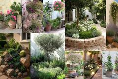 Σχεδιάζοντας έναν κήπο μειωμένης φροντίδας