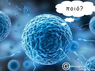 Φωτογραφία για Το ωάριο αποφασίζει ποιο σπερματοζωάριο θα το γονιμοποιήσει!