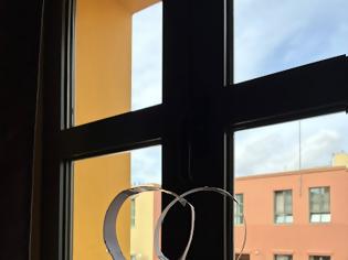 Φωτογραφία για Δίχτυ-Αεροπλανάκι με δαχτυλίδια (Ring Glider)