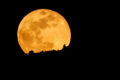 Σήμερα μην χάσετε την πανσέληνο