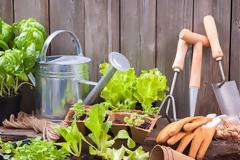 Κηπουρική για αρχάριους: Πως να ξεκινήσετε από το μηδέν