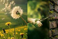 Η σχέση ανθρώπου και φυτού πέρα από την φροντίδα