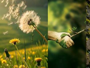 Φωτογραφία για Η σχέση ανθρώπου και φυτού πέρα από την φροντίδα