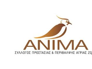 Φωτογραφία για Επίσκεψη του συλλόγου ΑΝΙΜΑ στην τάξη μας