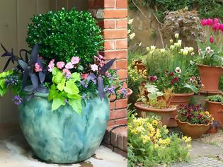 Φωτογραφία για Σύνθετες γλάστρες: Ο σωστός συνδυασμός φυτών