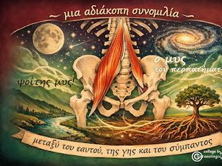 Φωτογραφία για ψοΐτης/psoas major μυς – ο βαθύτερος μυς του σώματός μας, που συμμετέχει σχεδόν σε κάθε κίνησή μας!