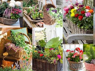 Φωτογραφία για Φυτά σε ψάθινα καλάθια: φυσική διακόσμηση για εξωτερικούς χώρους