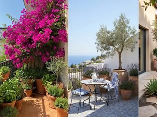 Φωτογραφία για Μεσογειακός κήπος σε μικρό χώρο: σχεδιασμός, φυτά και υλικά