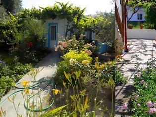 Φωτογραφία για Γιατί οι παλιοί κήποι διαθέτουν μια ιδιαίτερη γοητεία