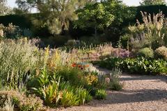 Τι μπορεί να αντικαταστήσει το γκαζόν σε κήπους και αυλές