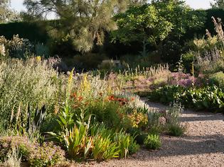 Φωτογραφία για Τι μπορεί να αντικαταστήσει το γκαζόν σε κήπους και αυλές