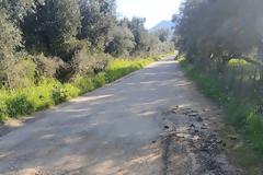 ΠΑΝΟΣ ΠΕΤΡΟΝΙΚΟΛΟΣ : ΝΤΡΟΠΗ – ΔΡΟΜΟΙ ΣΕ ΚΑΤΑΣΤΡΟΦΗ ΣΤΟ ΒΑΣΙΛΟΠΟΥΛΟ