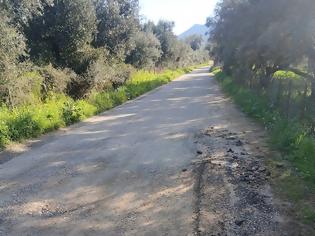 Φωτογραφία για ΠΑΝΟΣ ΠΕΤΡΟΝΙΚΟΛΟΣ : ΝΤΡΟΠΗ – ΔΡΟΜΟΙ ΣΕ ΚΑΤΑΣΤΡΟΦΗ ΣΤΟ ΒΑΣΙΛΟΠΟΥΛΟ