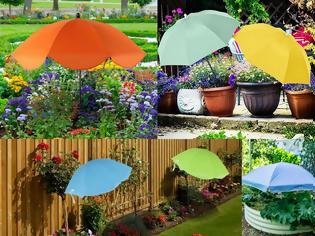 Φωτογραφία για Ομπρέλα για φυτά: βοηθάει πραγματικά στην προστασία από τον ήλιο;