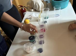 Φωτογραφία για Χρώματα & pH: το κόκκινο λάχανο σε δράση!