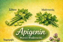 Η apigenin/απιγενίνη ως θρεπτική και θεραπευτική ουσία – ένας ευεργετικός παράγοντας που προάγει την υγεία μας, με πανίσχυρη αντικαρκινική δράση