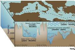 Καύσωνες στον βυθό της Μεσογείου: μια αόρατη απειλή για τα θαλάσσια οικοσυστήματα