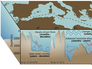 Φωτογραφία για Καύσωνες στον βυθό της Μεσογείου: μια αόρατη απειλή για τα θαλάσσια οικοσυστήματα
