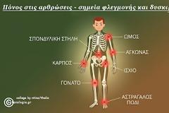 Ο “άξονας εντέρου-άρθρωσης” συνδέει την υγεία του εντερικού μικροβιώματος με την αρθρική φλεγμονή.