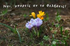 όταν με ρώτησαν είπα - Ναι, μπορείς αν το θελήσεις!