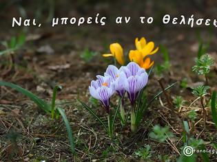 Φωτογραφία για όταν με ρώτησαν είπα - Ναι, μπορείς αν το θελήσεις!