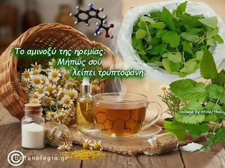 Φωτογραφία για Βότανα που περιέχουν το πολύτιμο αμινοξύ τρυπτοφάνη